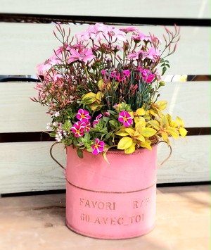 irodori からつ 四季の寄せ植え〜赤・ピンク系(小サイズ)〜※お花の種類・容器はお任せ下さい! irodori からつ 四季の寄せ植え〜赤・ピンク系(小サイズ)〜※お花の種類・容器はお任せ下さい!