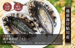 特大 活きあわび 1枚 400g以上 特大 活きあわび 1枚 400g以上