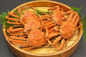 せいこがにお得なセット 160g〜190g×5杯 せいこがにお得なセット 160g〜190g×5杯