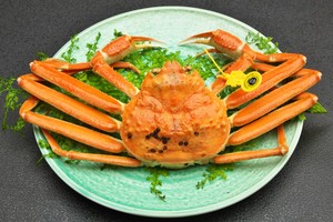 越前かに 小 600g〜700g 越前かに 小 600g〜700g