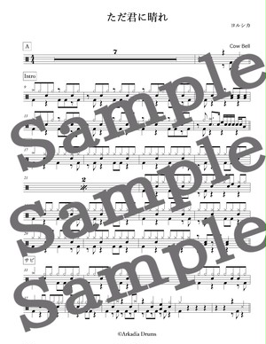 ただ君に晴れ ヨルシカ Arkadia Drums
