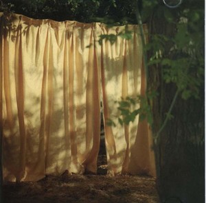 The BURNING SOFTIES - The Curtain Parted [CD]