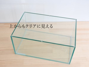 ガラス容器 苔テラリウム用 30ｘcmガラス水槽 300ｘ0ｘｈ140mm 苔テラリウム専門ショップ道草