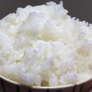 丹波産 極上米 特別栽培米 新米 こしひかり 10㎏