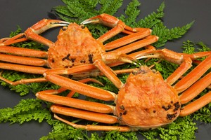 ズワイガニお得なセット 800g×2杯 ズワイガニお得なセット 800g×2杯
