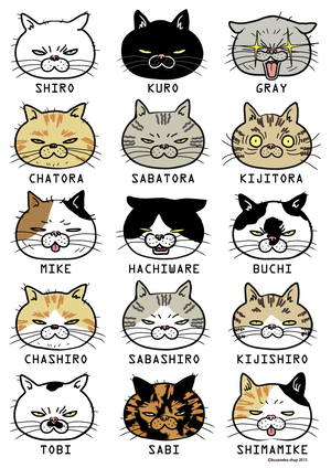 ブサ猫tシャツ 猫柄15 レディース 白他全5色 小さな小さな雑貨店 ぶさねこかん