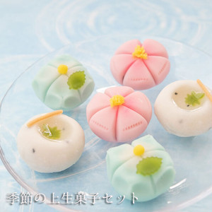 季節の上生菓子詰合せ6個セット【店頭受取不可】 季節の上生菓子詰合せ6個セット【店頭受取不可】