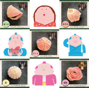 自宅で簡単!練り切り作り体験(練りきりキットのみ6個セット)
