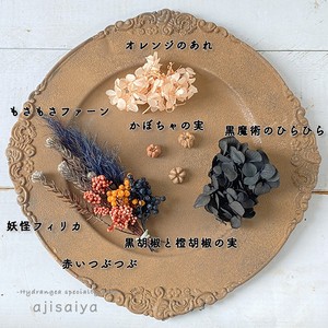 闇夜へ誘う あじさいやのハロウィン花材セット 21 数量限定 自然素材こわけ専門店 あじさいや