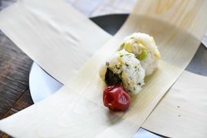 お家で森林浴を楽しむ Turnsのおすすめ商品の通販 Ecならturns商店