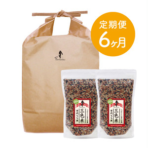 【定期便6ヶ月】白米9kg・三色米500g×2 セット
