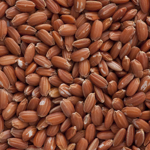 玄米4kg・三色米500g セット