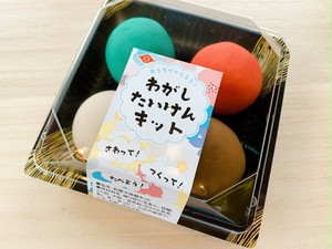 わがしたいけんキット わがしたいけんキット