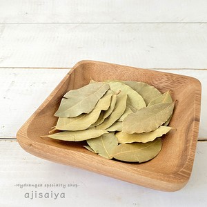 撮影背景につかえます 月桂樹の葉 ドライ素材 自然素材こわけ専門店 あじさいや