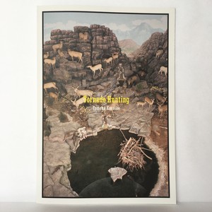 鴻池朋子『Tornado Hunting』（委託販売品）