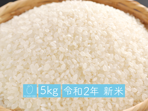 無洗米:5kg「新潟県産コシヒカリ」【令和2年】 無洗米:5kg「新潟県産コシヒカリ」【令和2年】