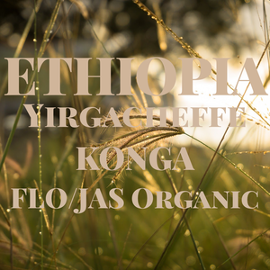 エチオピア イルガチェフェ コンガ FLO  /    ETHIOPIA  Yirgacheffe KONGA FLO  【150g】【中煎り】