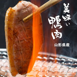 鴨肉 鴨のお肉屋さん