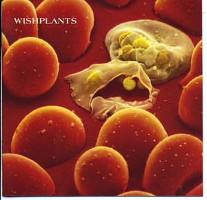 WISHPLANTS - Coma  [CD]