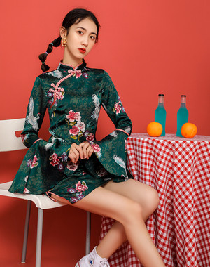 チャイナ風ワンピース 改良型チャイナドレス チャイナ風服 中華服 改良唐装 改良漢服 スタンドネック 長袖 ショート丈 普段着 S M L Ll 可愛い パーティー 女子会 個性的 グリーン 緑 鶴模様 Dresszone