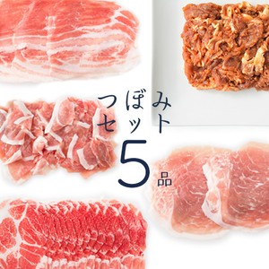 つぼみ5品セット つぼみ5品セット