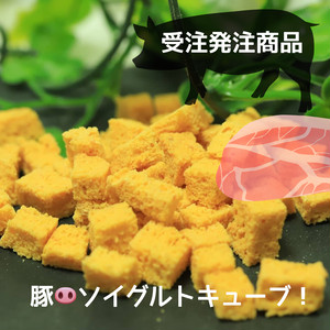 豚 ソイグルトキューブ【受注発注商品】 豚 ソイグルトキューブ【受注発注商品】