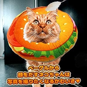 ペット用 エリザベスカラー 可愛い ベーグル柄 布製 柔らかい 傷口 保護 舐め防止 引っ掻き防止 治療 犬 猫 クッション性 ストレスフリー Abientot Jp アビアントジェーピー