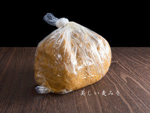 美しい麦みそ 5kg 専用ダンボール函入 美しい麦みそ 5kg 専用ダンボール函入