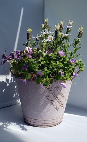 irodori からつ 四季の寄せ植え〜パープル系(小サイズ)〜※お花の種類・容器はお任せ下さい! irodori からつ 四季の寄せ植え〜パープル系(小サイズ)〜※お花の種類・容器はお任せ下さい!