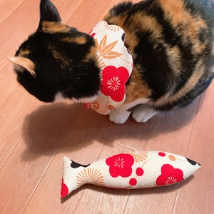 誰の ケーキ クラウン 猫 けり ぐるみ またたび なし Tubenclosure Org