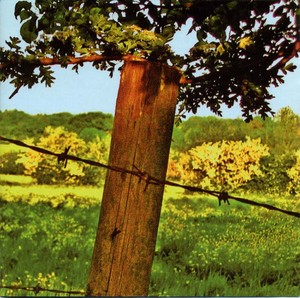 The FIELDS OF HAY - Songs For Nine Ladies [CD]