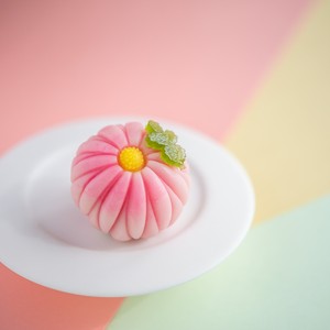 季節の上生菓子詰合せ6個セット【店頭受取不可】敬老の日 ギフト プレゼント 孫 和菓子 季節の上生菓子詰合せ6個セット【店頭受取不可】敬老の日 ギフト プレゼント 孫 和菓子