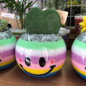 カラーサンド パステルボーダー ニコちゃん サンドアート サボテン ティーズフルール工房