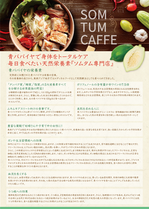 SOM TUM CAFFE オリジナル冷凍ソムタムセット