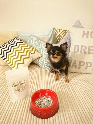 ナチュリカ For ドッグス 愛犬のためのスーパーフード 食べるケイソウ土 Natulica ナチュリカ Natural 自然な 天然の Silica シリカ 限定先行新発売 送料無料 Super Sedona