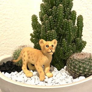 受注生産品 ライオン 寄せ植え サボテン 観葉植物 インテリア グリーン ミニチュア かわいい 動物 フィギュア 三和ポチット