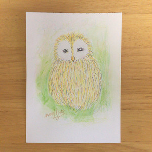 【原画】黄色いフクロウ 色鉛筆 （gs_016）