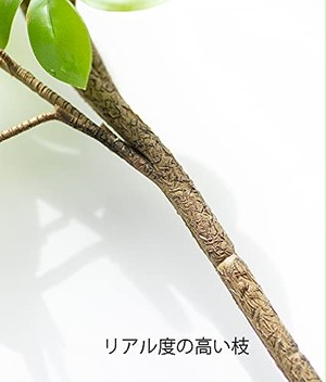 Jpcs プレミアム ガラス花瓶を持つ 人工観葉植物 90cm ドウダンツツジ 枝フェイク 空気清浄 消臭 脱臭 室内 インテリア おしゃれ リアル シマトネリコ 緑 緑の花瓶セット Japan Classic Store