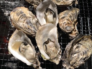 戸石産生食用真牡蠣3kgセット 戸石産生食用真牡蠣3kgセット