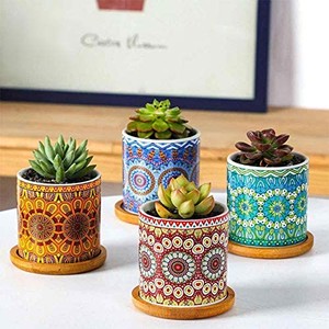 Jpcs 多肉植物 鉢 植木鉢 おしゃれ 陶器鉢 観葉植物 鉢 多肉 鉢 サボテン鉢 事務室 ベランダ 客間の最優秀装飾 竹製トレイ付き 4点セット Mtl 01 Multicolor Japan Classic Store