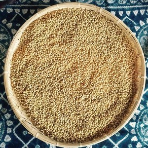 みさを大豆　1kg