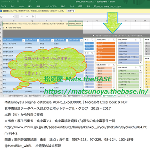 excel book 松廼屋 mats thebase
