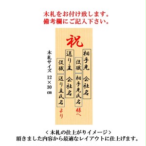 胡蝶蘭 お祝い ギフト 就任祝い 木札付き 大輪 ホワイトロッキー 3本立 L ラッピング付き 開店 新築 就任 開業 開院 モテギ洋蘭園