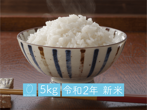 精米:5kg「新潟県産コシヒカリ」【令和2年】 精米:5kg「新潟県産コシヒカリ」【令和2年】