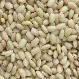 玄米9kg・三色米500g×2 セット