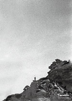 たみポスター(松見拓也編）