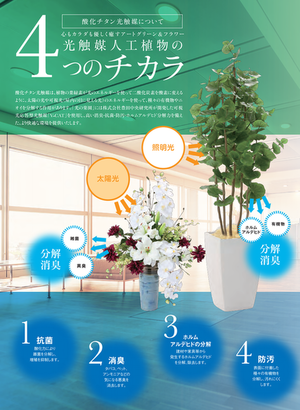 観葉植物 フェイクグリーン スリムパキラ 1 0m 日本製 光触媒 消臭 抗菌 ホルムアルデヒド対策 光の楽園 1room Essence By 日本財託