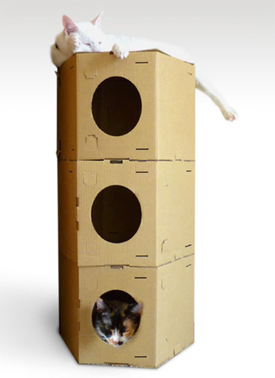 100%気に入ってもらえる猫ホイホイのペットハウス「Catin」