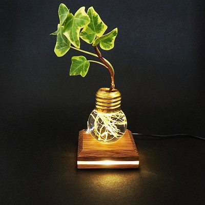 役割を終えた電球を再利用した 植物の根を幻想的に照らす花器 Re Light リライト が美しい Base Mag