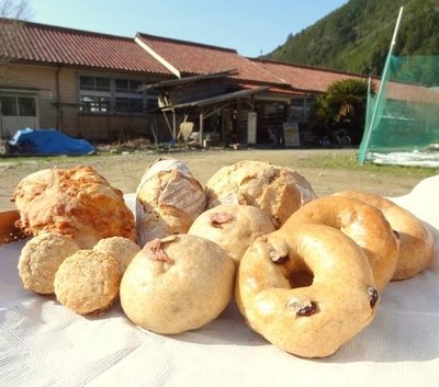 畑に小麦の種を蒔くところから出発。「パン工房木造校舎」の無農薬・有機栽培で育てられた小麦パン